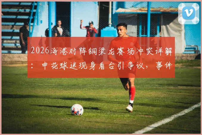 2026海港对阵铜梁龙赛场冲突详解：申花球迷现身看台引争议，事件始末与中超球迷文化观察